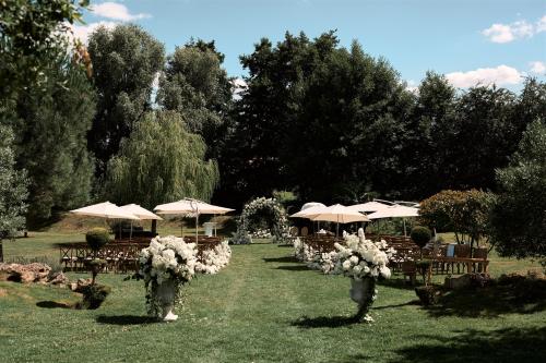 Domaine des Hirondelles le 28 juin 2025